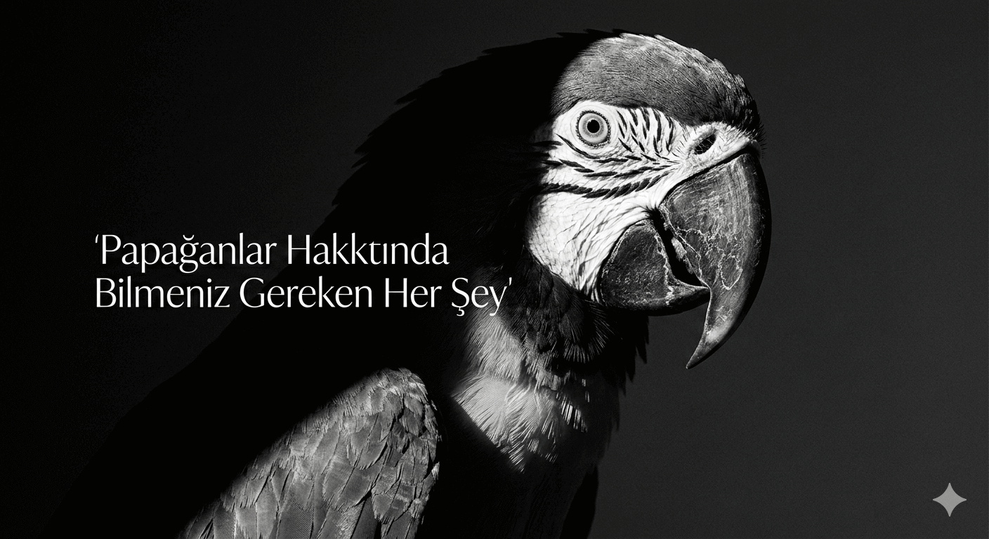 Papağanlar Hakkında Bilmeniz Gereken Her Şey