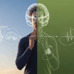 Otonom Sinir Sistemi ve Denge Sağlığınızı Nasıl Optimize Edebilirsiniz?