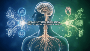 Sinir Sistemi Regülasyonu Zihinsel ve Fiziksel Sağlığın Anahtarı