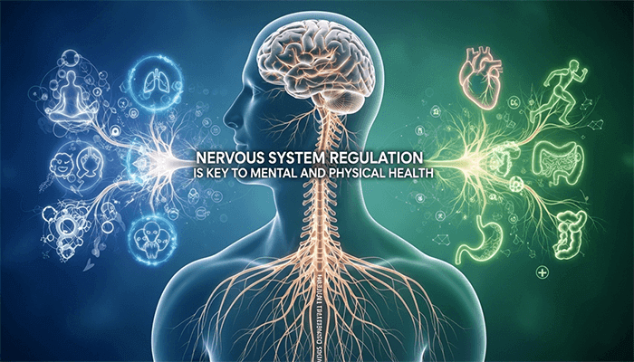 Sinir Sistemi Regülasyonu Zihinsel ve Fiziksel Sağlığın Anahtarı